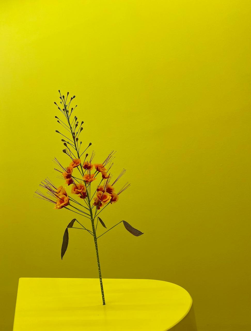 Office floral design