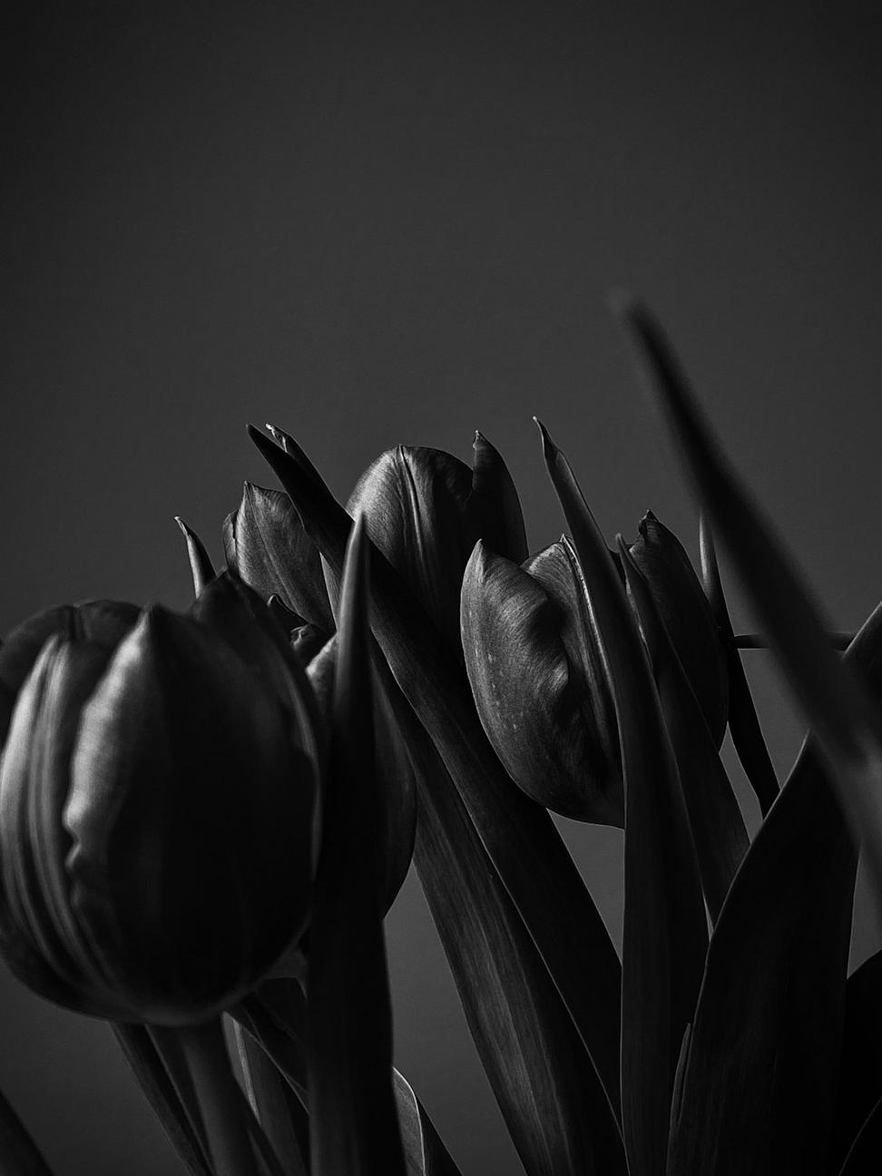 Gothic wedding ceremony arch